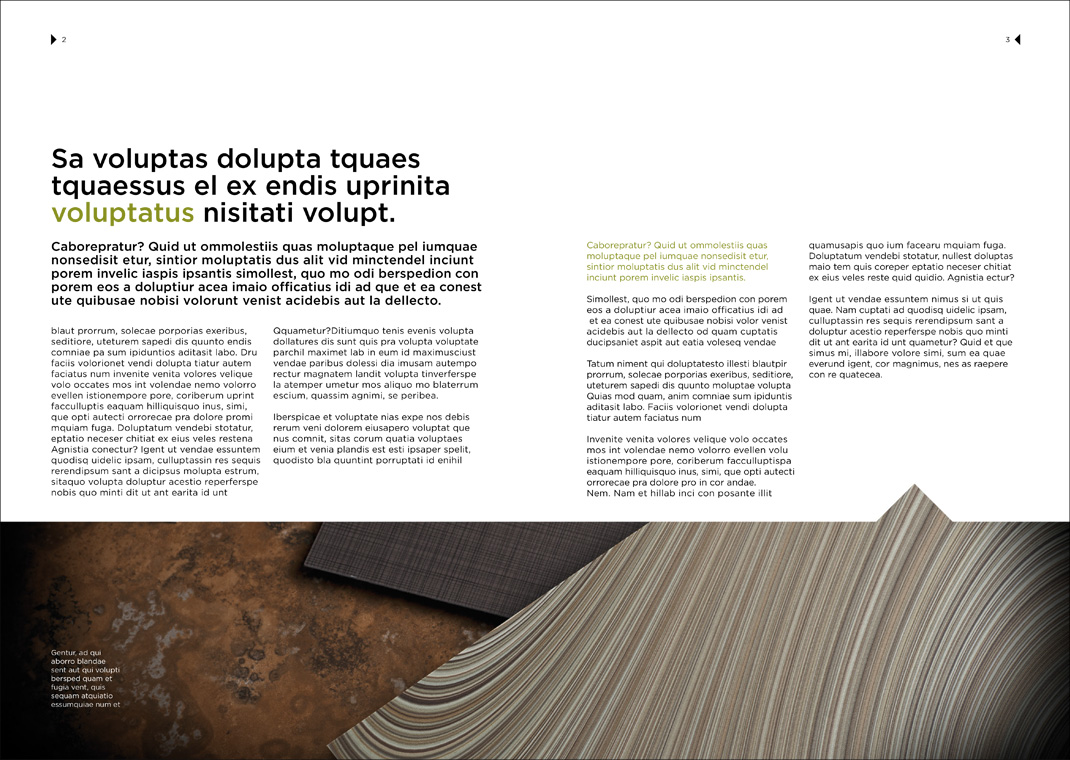 Falck Design grafiskmall insida 2
