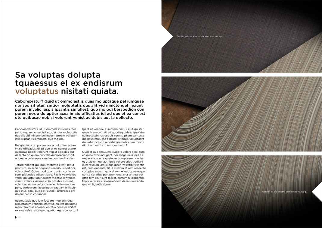 Falck Design grafiskmall insida 3